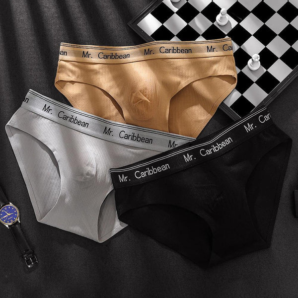 Men's Mid-waist Sports Style With Letters Heavy Soft Brushed 3D Pouch One-piece Briefs Underwear