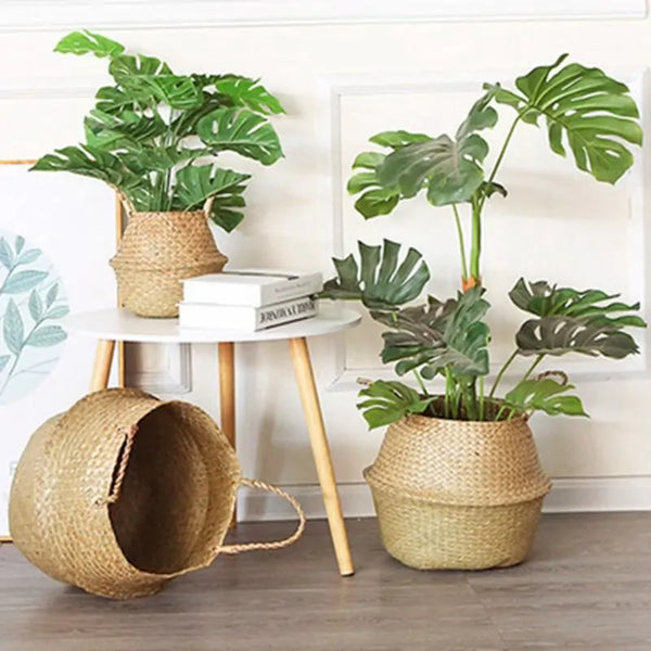 Seagrass Hanging Planter Basket - Totostore